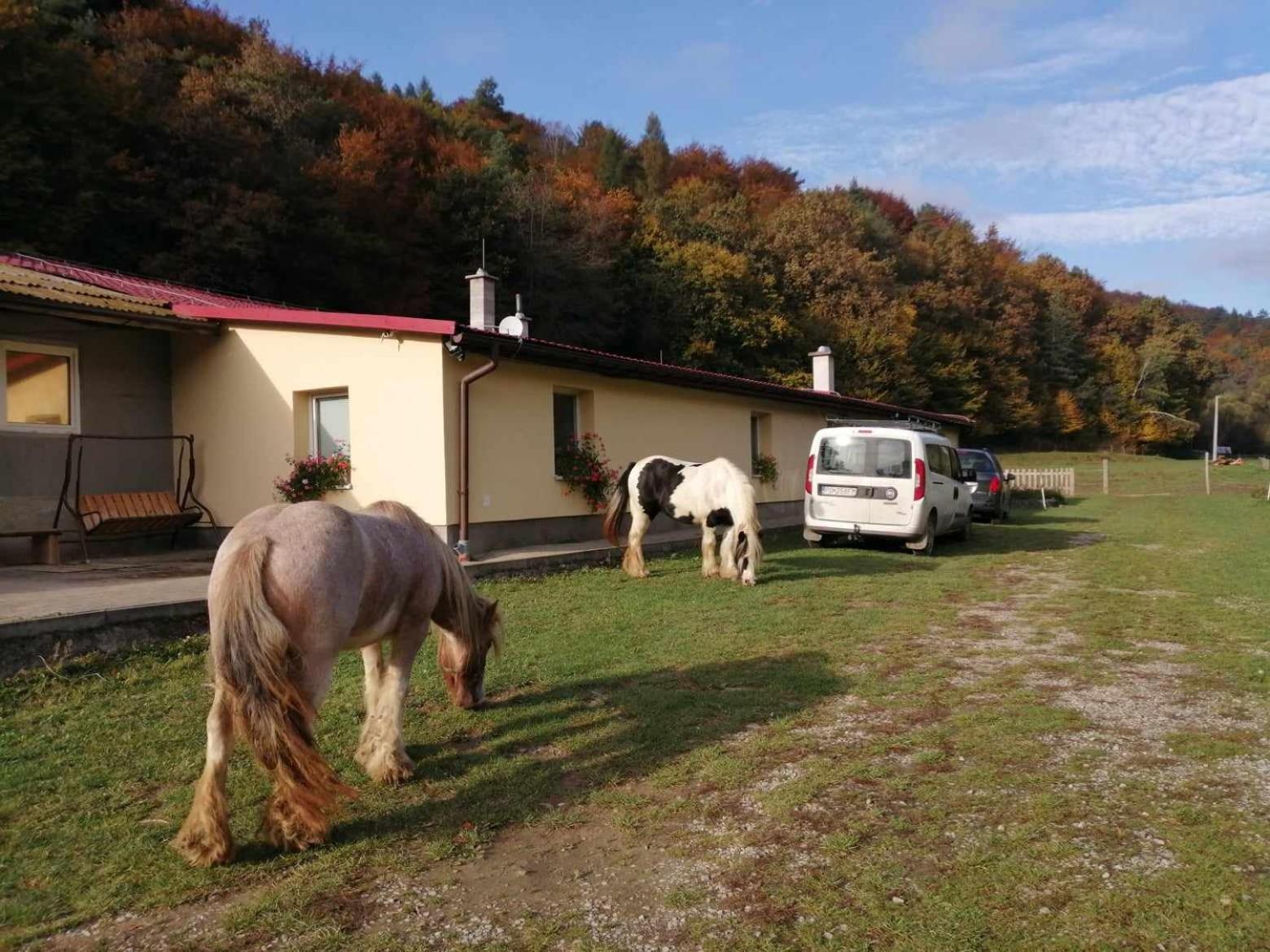 Oddychovy Pobyt Na Rodinnej Farme Matiaska エクステリア 写真